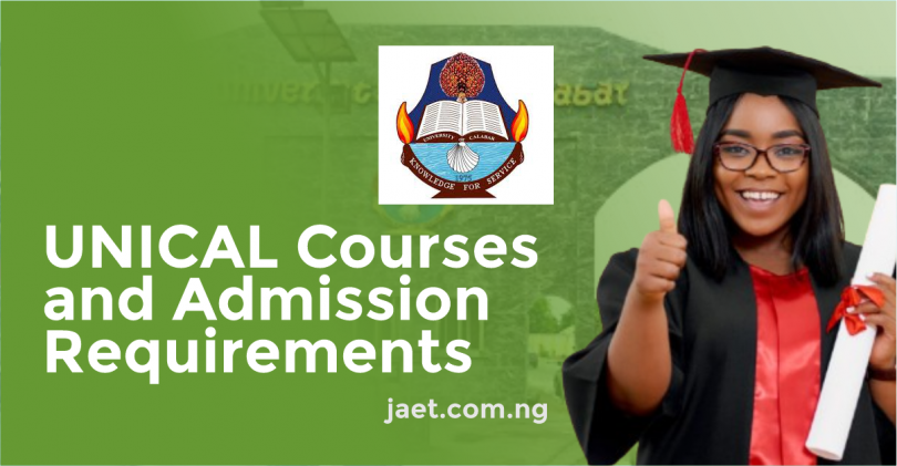 unical courses and admission requirements